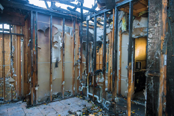 Professional Fire Damage Removal technician working in Keenesburg, CO